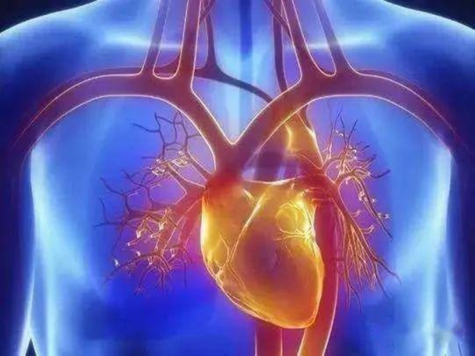 LA BÉTANE DANS LE TRAITEMENT DES MALADIES VASCULAIRES