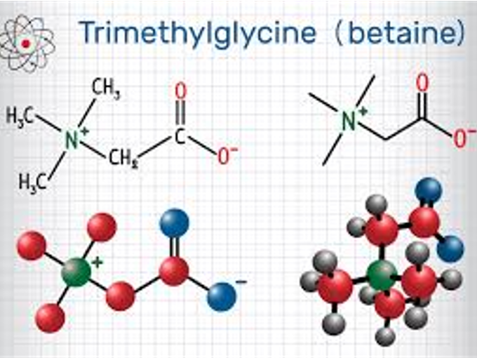 Classification de la bétaïne (saine)