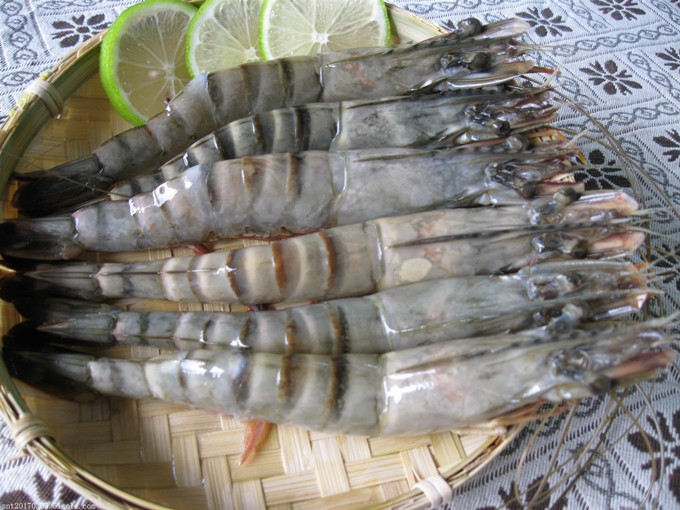 Avantages de la bétaïne dans les aliments pour crevettes (sains)
