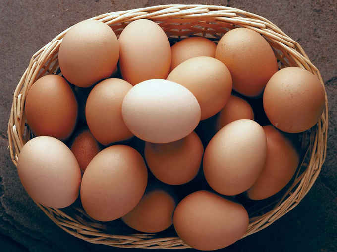 Effet de la bétaïne sur la production d'œufs de poules pondeuses