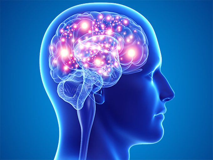 Valeur nutritive du chlorure de choline sur le corps