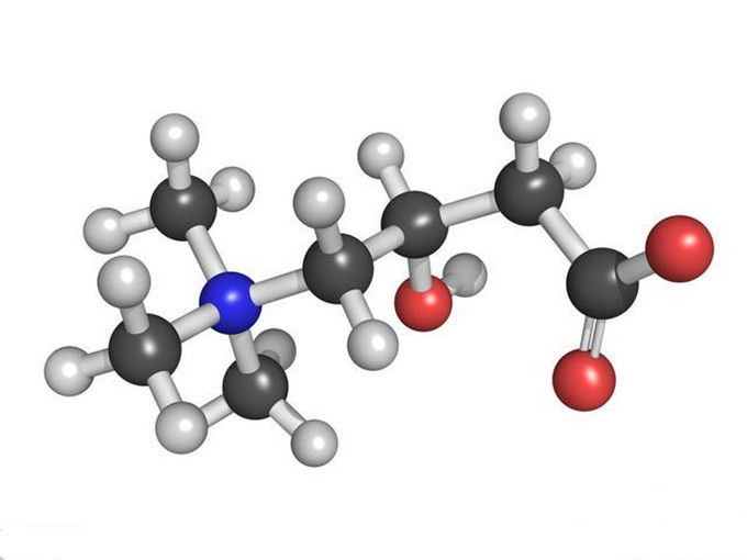 Qu'est-ce que la L-carnitine ?