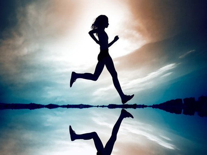 Les fonctions de la L-carnitine