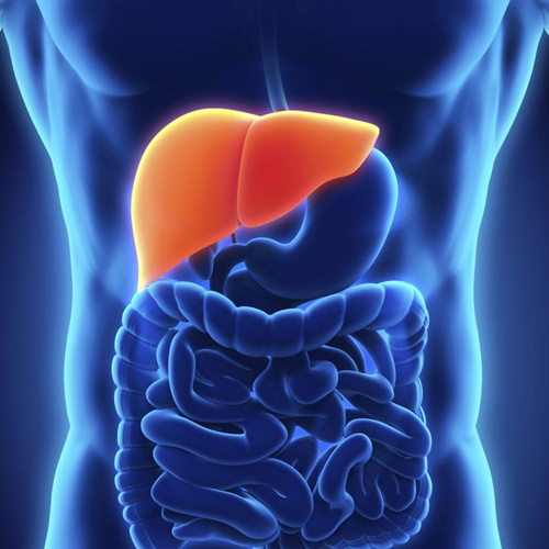 chlorure de choline de qualité alimentaire